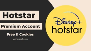 Disney Plus Hotstar Premium Accounts